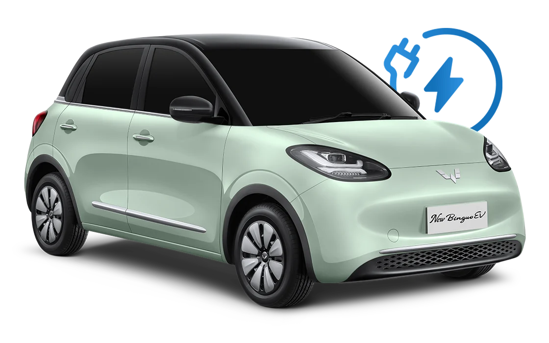 Wuling New BinguoEV